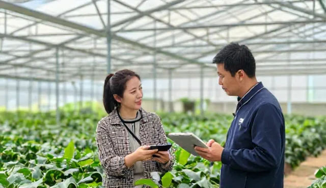 农机使用中的仓储保鲜技术适用情况与限制
