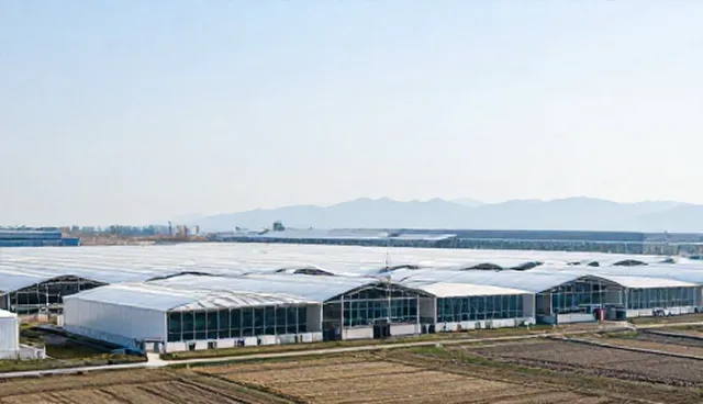 农机服务全流程跟踪服务的实用建议